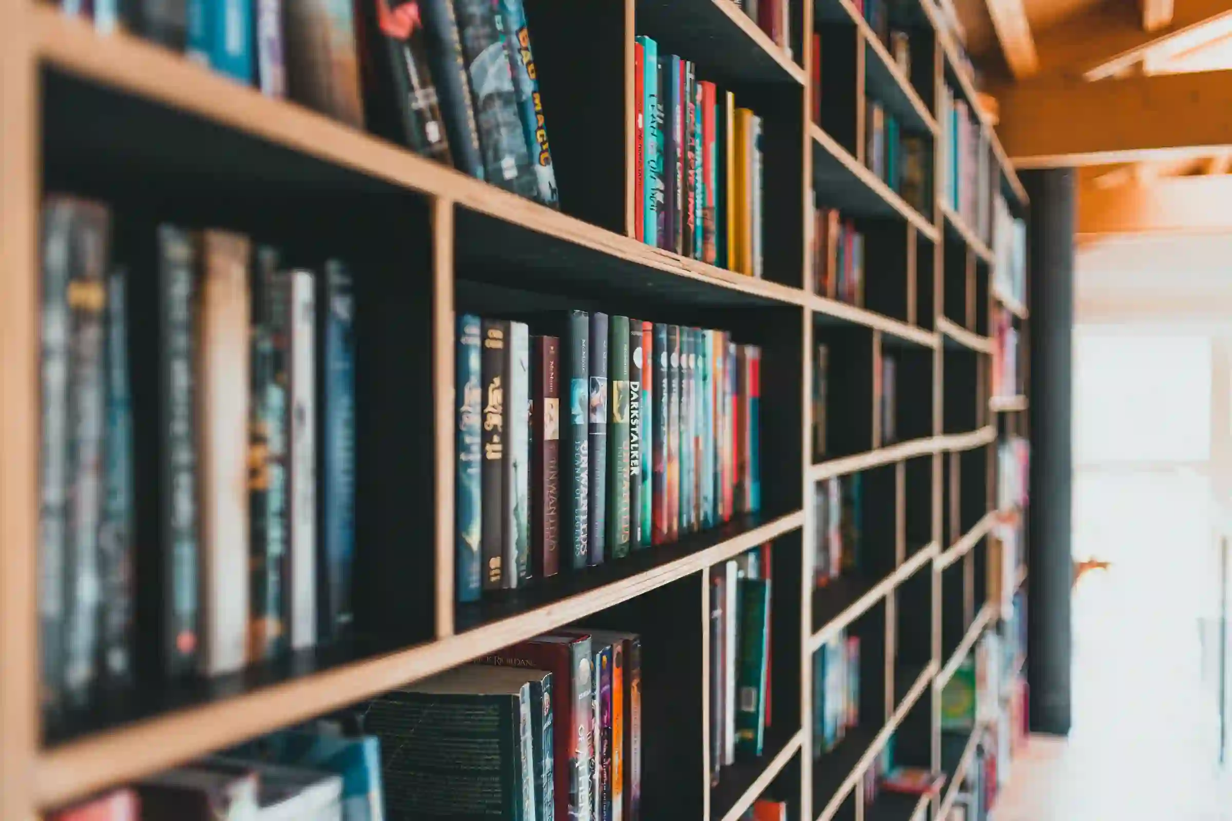 A warm wood bookshelf viewed at an angle, tightly packed with titles
