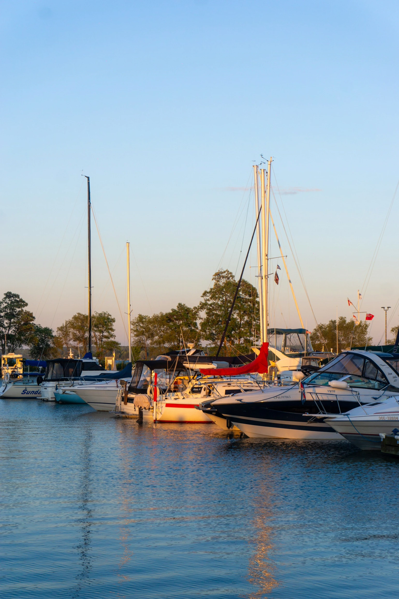 Sailboats docked in a Barrie marina at golden hour