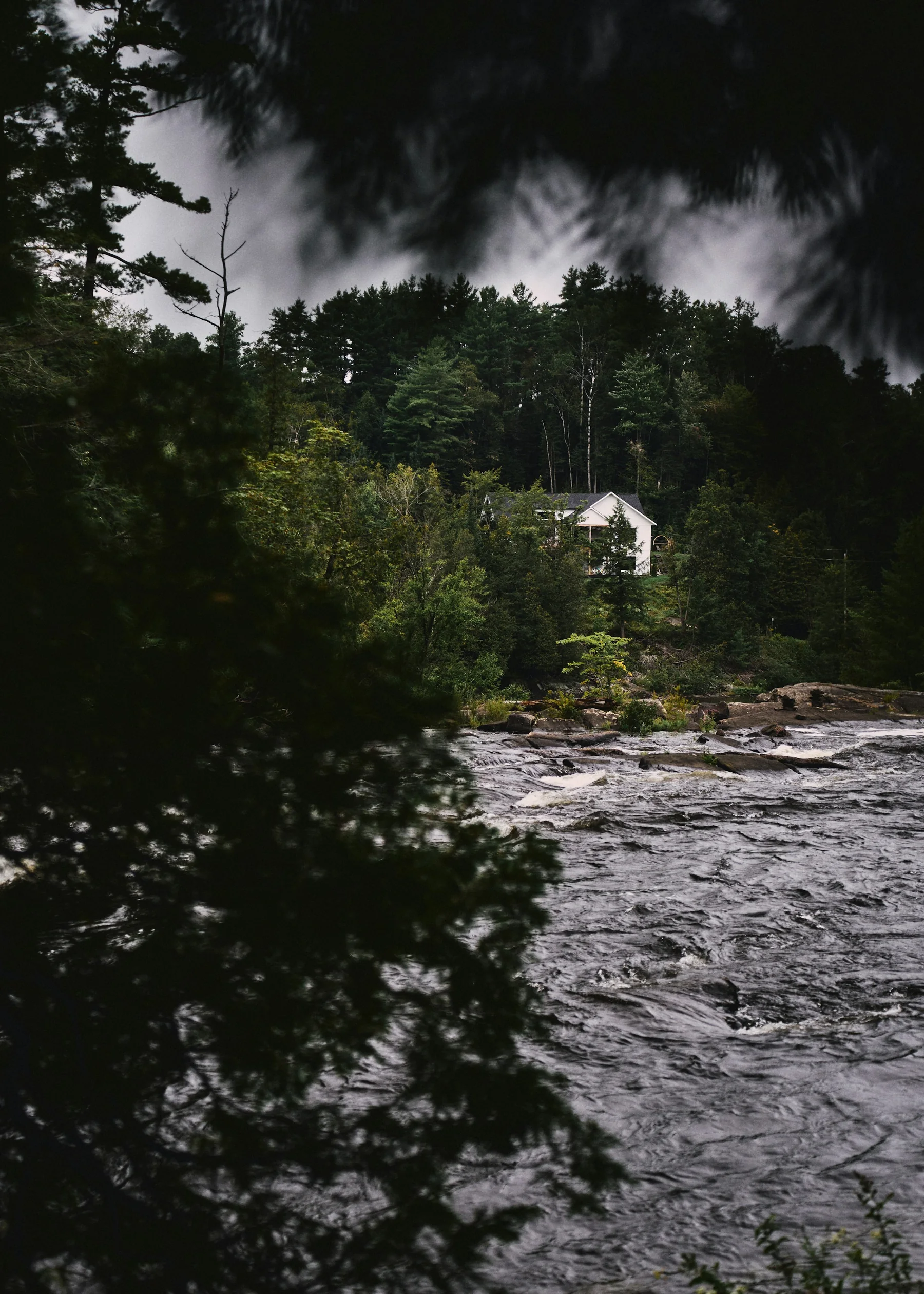 A moody long-exposure of the river and forest near Bracebridge at night
