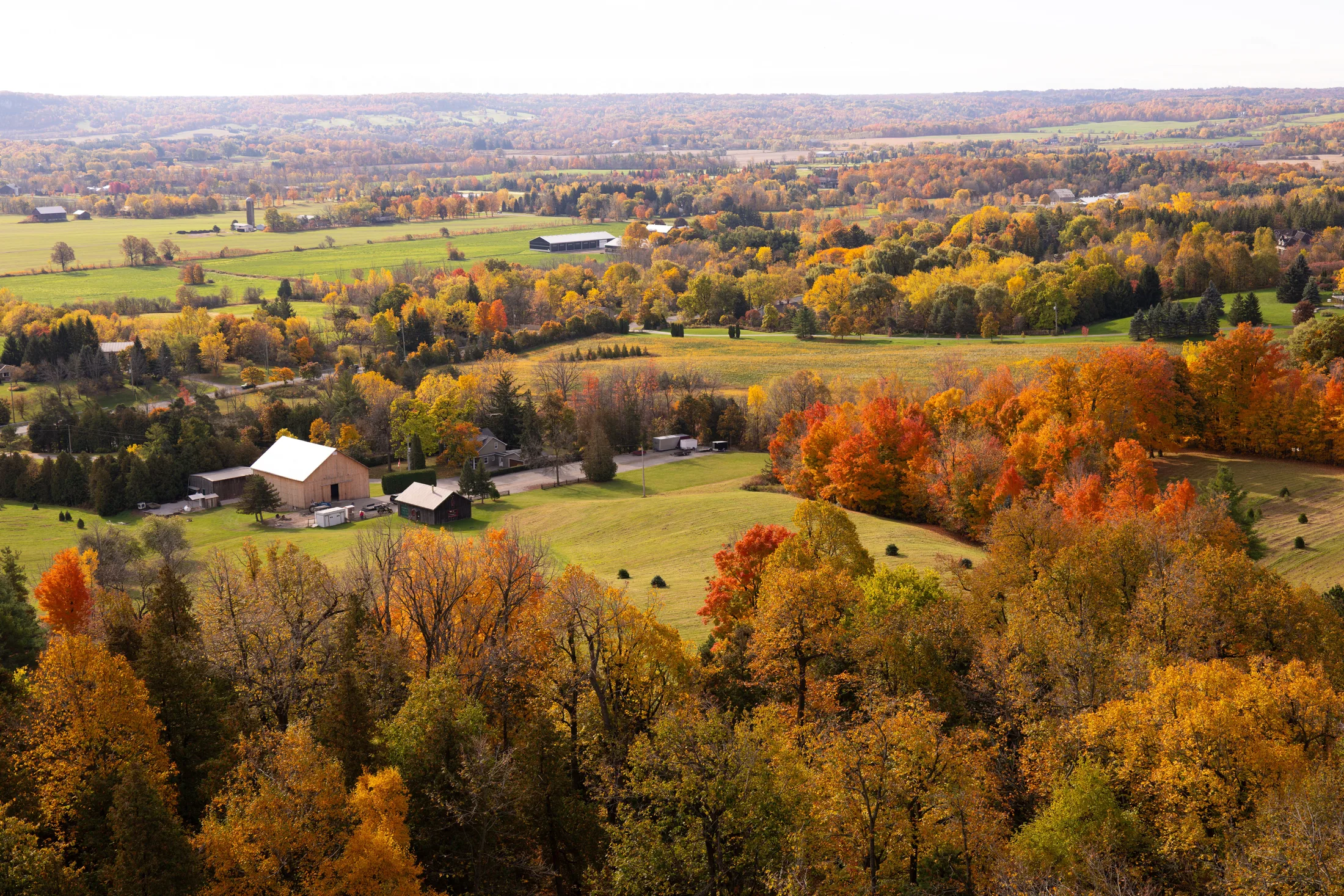 Aerial view over Caledon's rolling autumn farmland