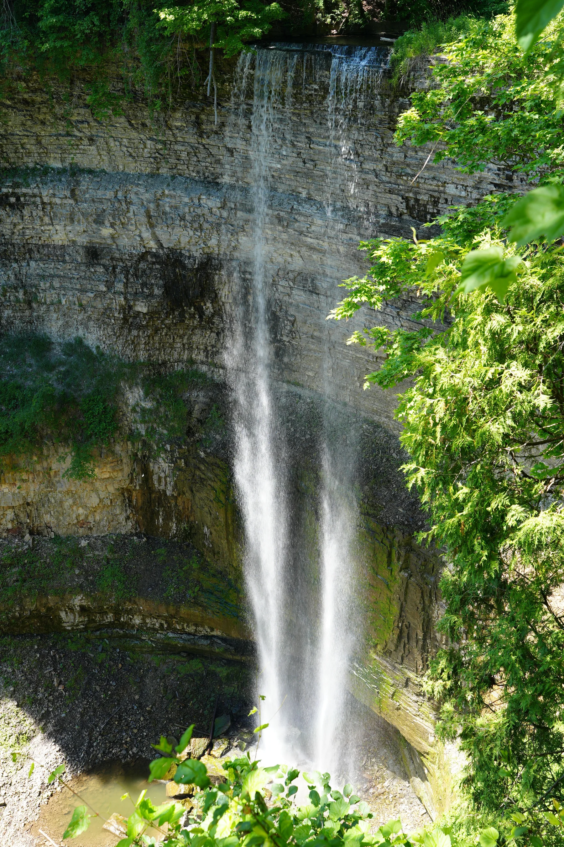 A waterfall dropping through a green gorge on the Hamilton escarpment