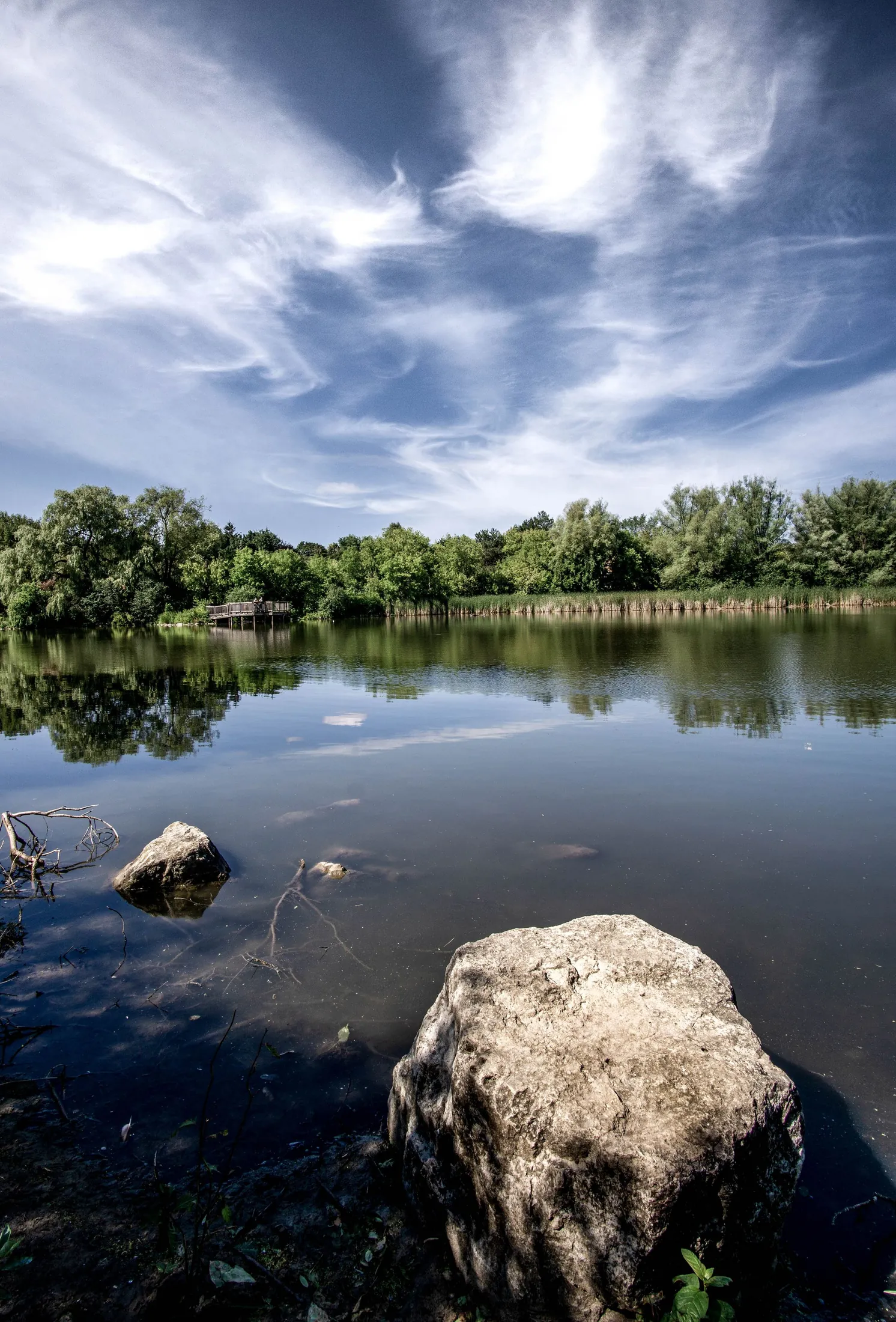 A rock in the shallows of a Markham pond under sweeping clouds