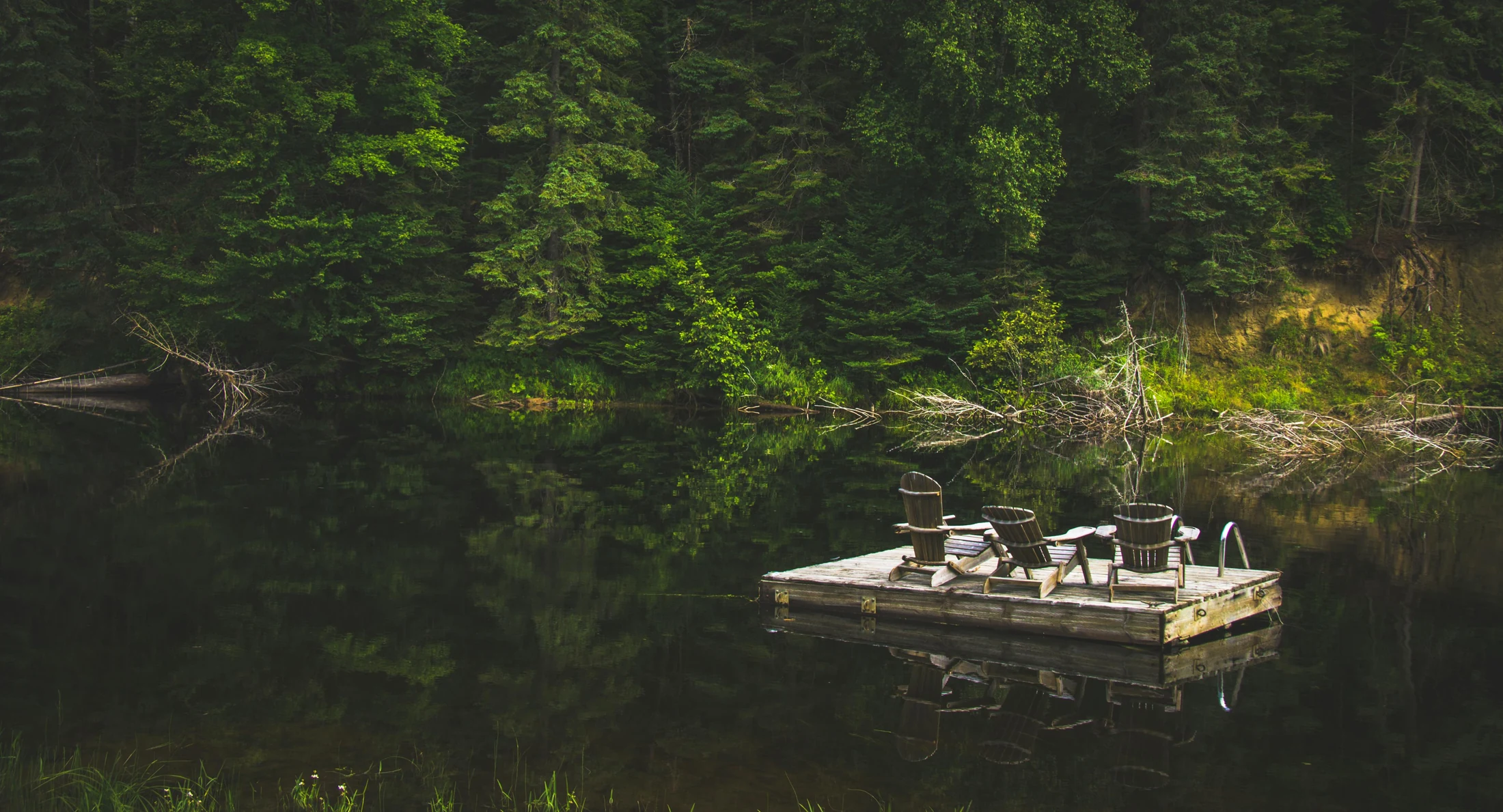 A floating dock with chairs on dark, still water beside a green forest shoreline