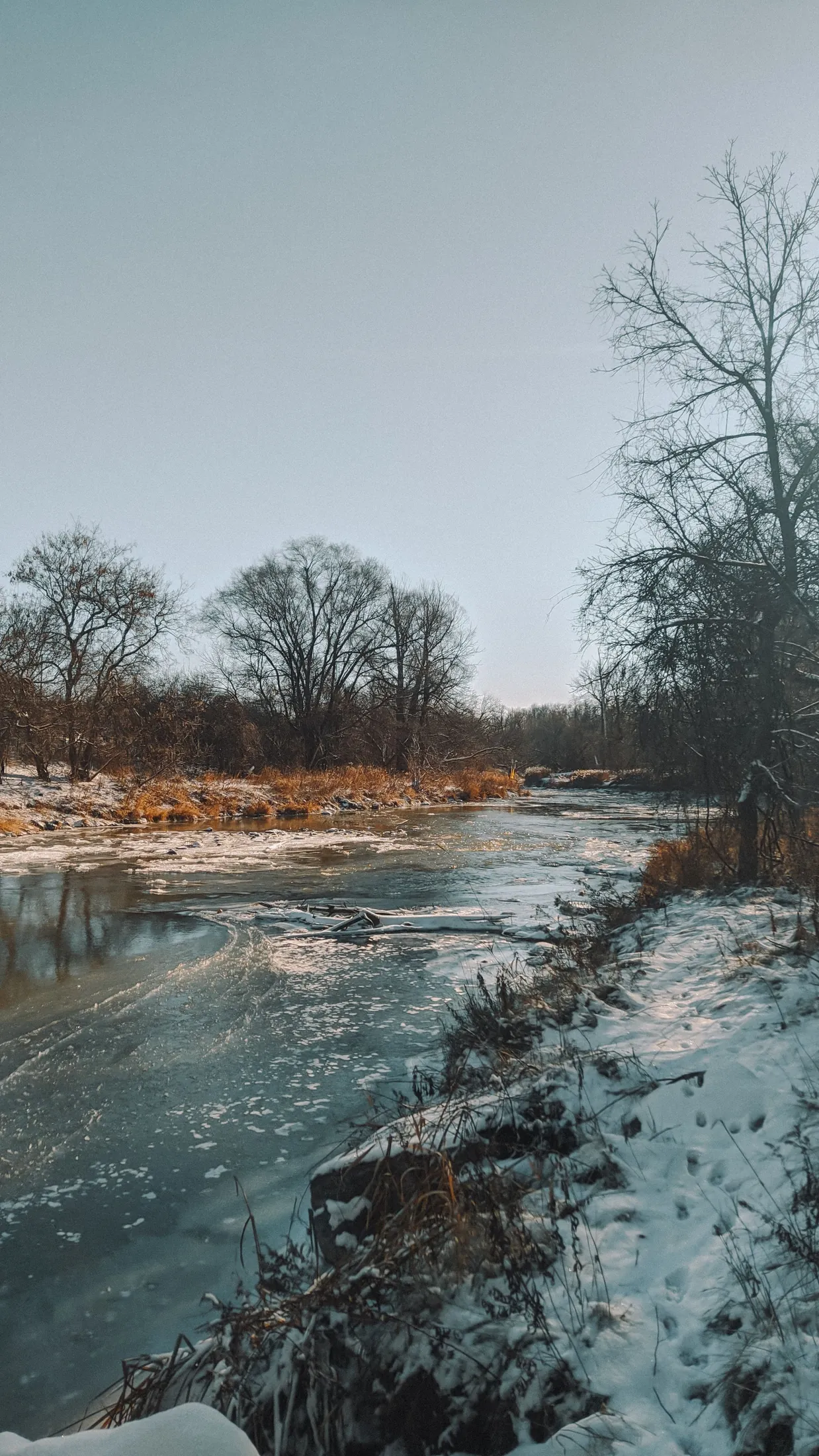 A river winding through snowy woods in Vaughan in winter