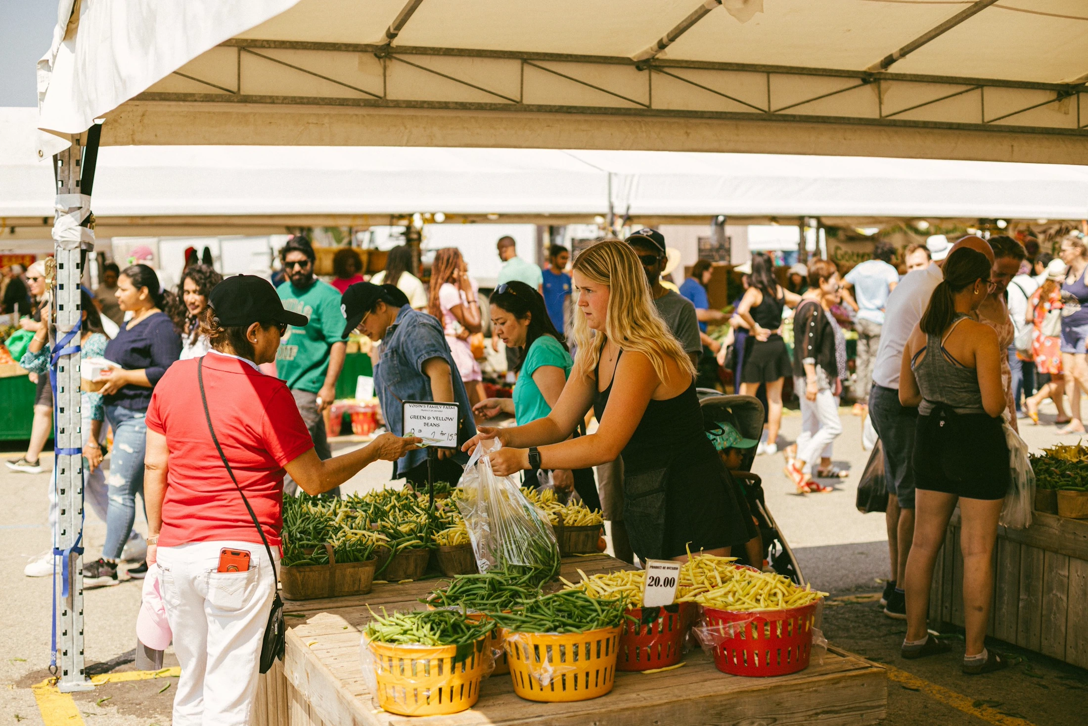 Shoppers browsing fresh produce at a busy outdoor farmers market