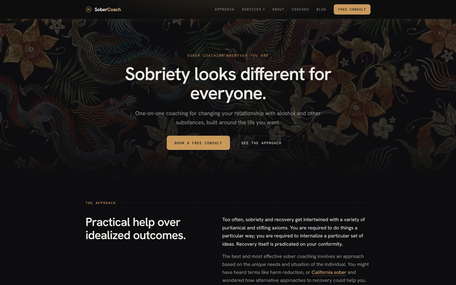Sober Coach website